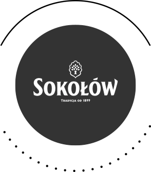 Profesjonalne materiały wizualne z logo Sokołów